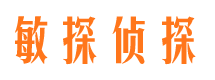 宾阳私家侦探公司